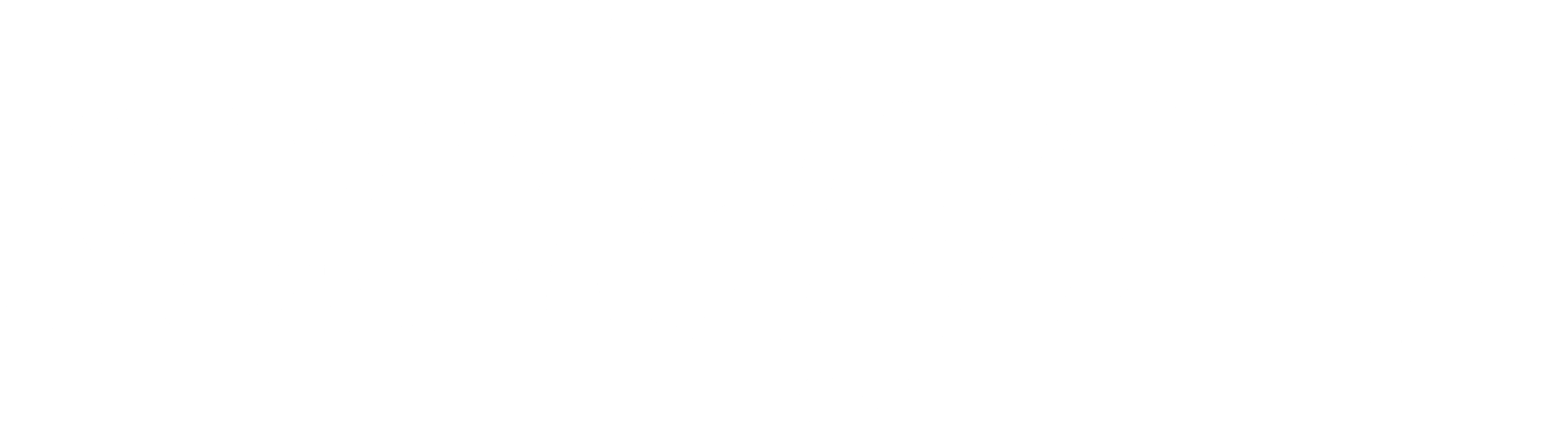 Society 242